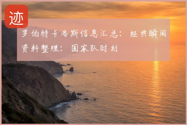 罗伯特卡洛斯信息汇总：经典瞬间资料整理：国家队时刻